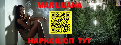 гашик Бийск