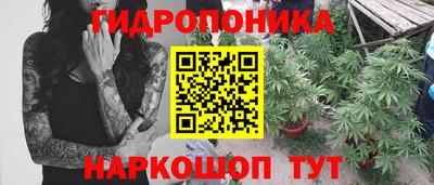 Альфа ПВП Берёзовский