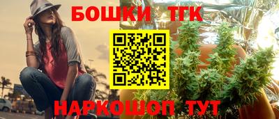 гашик Бийск
