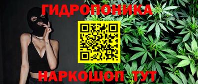 гашик Бийск