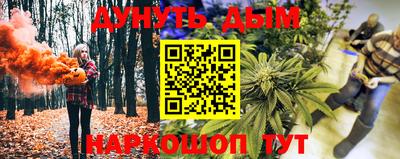 гашик Бийск