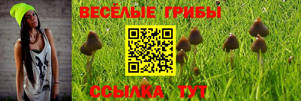 Галлюциногенные грибы Magic Shrooms Кандалакша