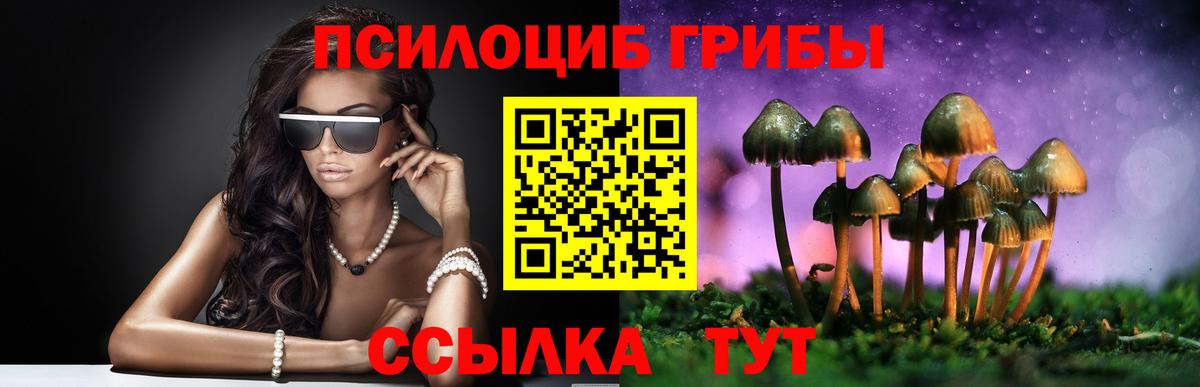 Галлюциногенные грибы Cubensis  Вход с VPN  Кандалакша 